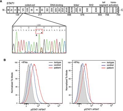 Impaired STAT3-Dependent Upregulation of IL2Rα in B Cells of a Patient With a STAT1 Gain-of-Function Mutation